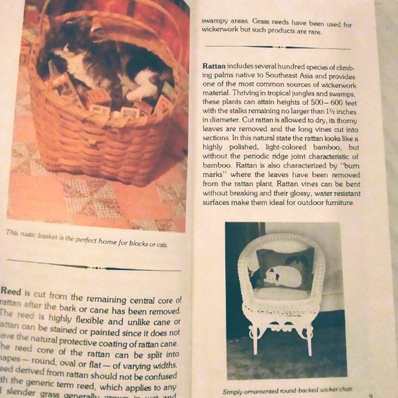 Cornerstone Collector's Guide to Wicker 1981 - Picture 4 of 4